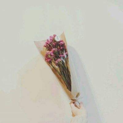 卓越圣衣手游下载